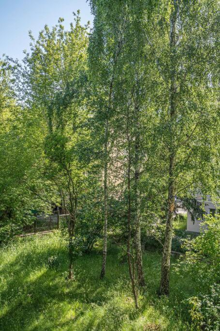 Rozana, Stary Mokotow Apartment Варшава Екстериор снимка